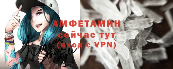 молекула духа Горняк