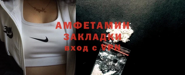 молекула духа Горняк
