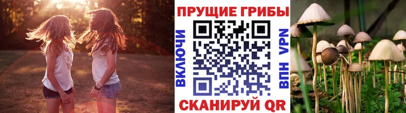 Галлюциногенные грибы Cubensis  наркошоп  Курган 